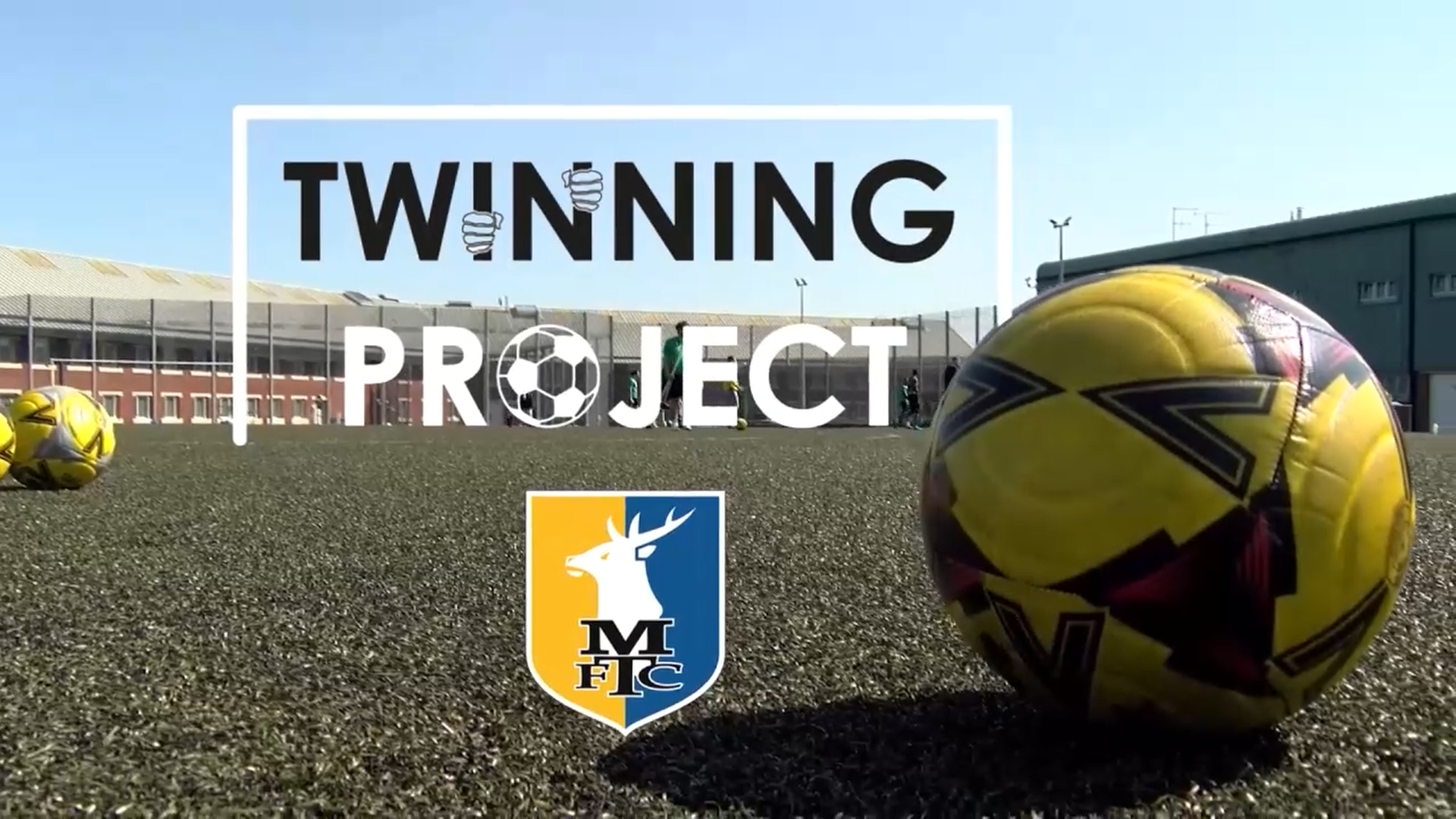The Twinning Project